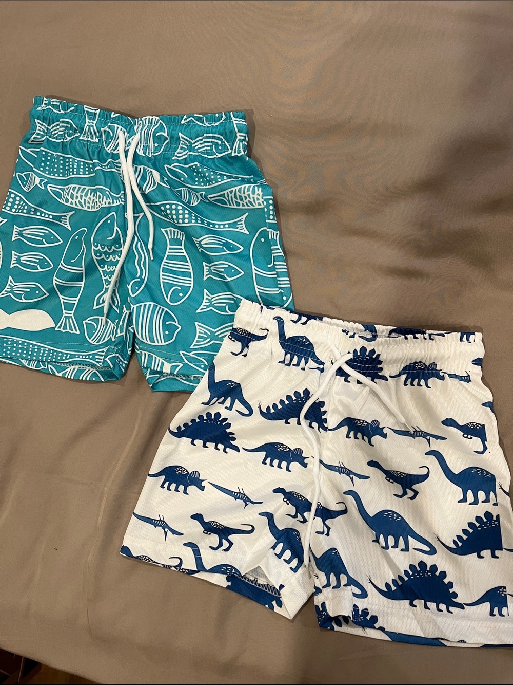 3-4T Boys Teal Fish & White Dino Swim Shorts Set